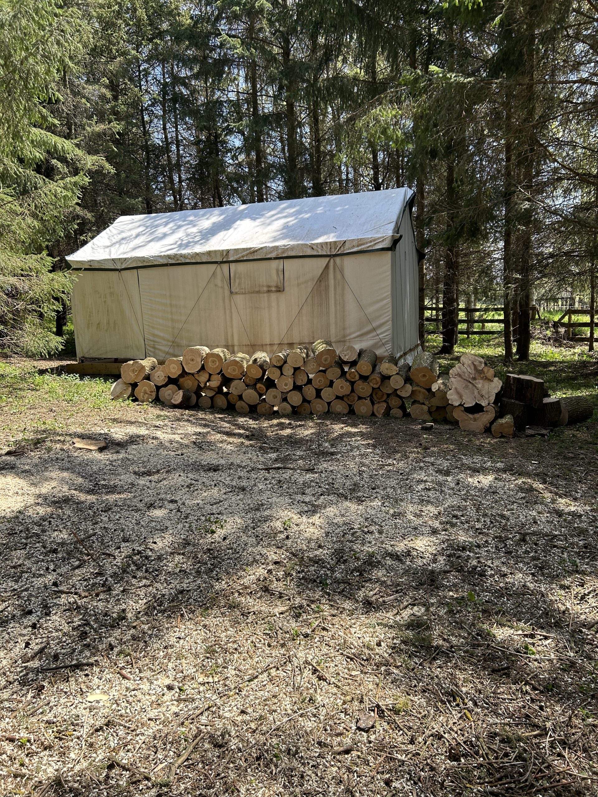 The Elora tent after a tree cutting, with stacked wood next to it on a sunny spring day.