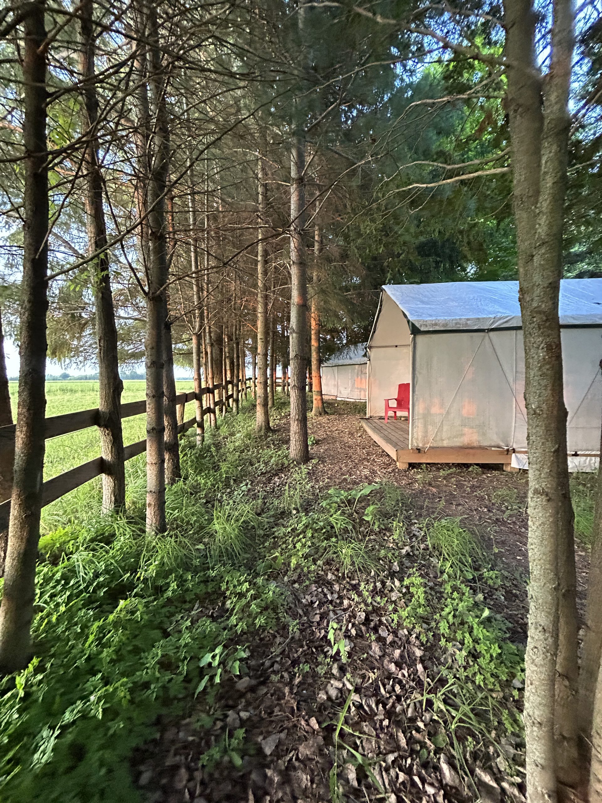 The Wellington tent at Irvineside Farm