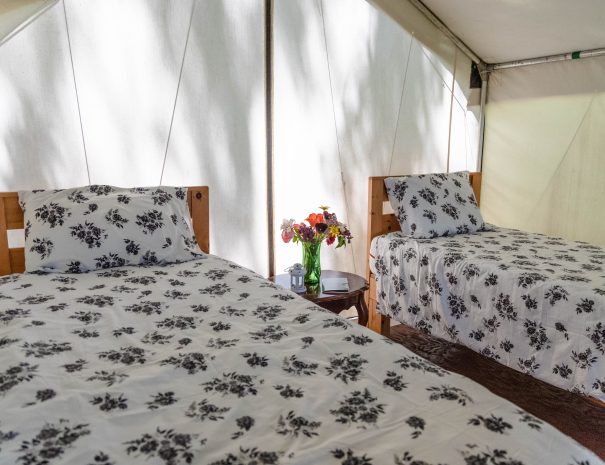 Single beds are available in 6 tents at Irvineside Farm.