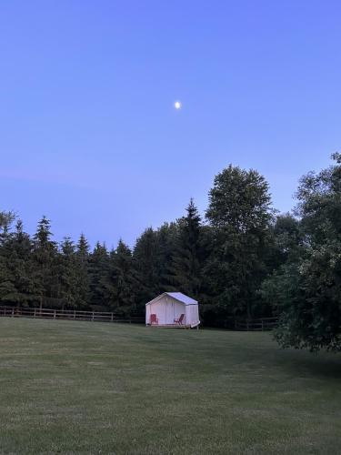 The Irvine Tent under the moon on a summer night at Irvineside Farm.